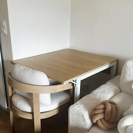 公寓 Beachfront Promenade Des 2 Terraces 尼斯